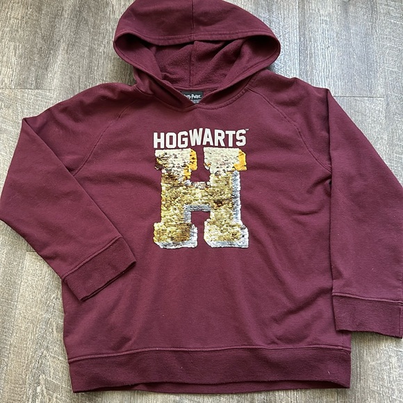Harry Potter Hogwarts Hoodie XL - Picture 1 of 5